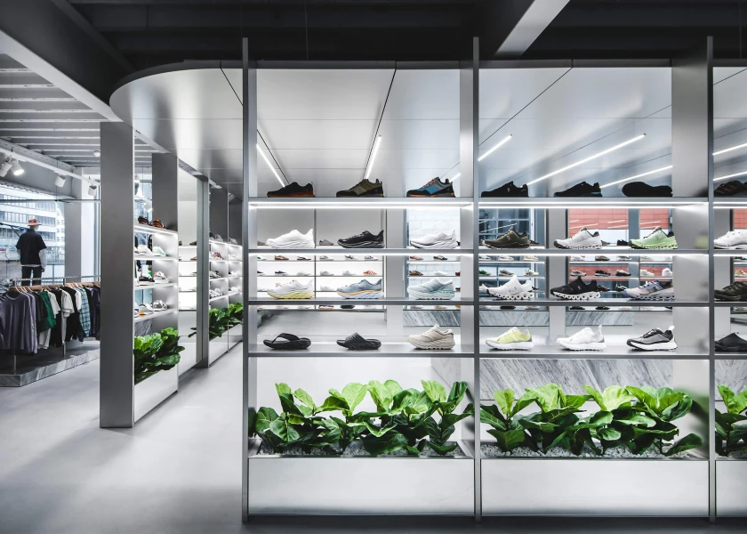 Fiddle Leaf plants in retail store