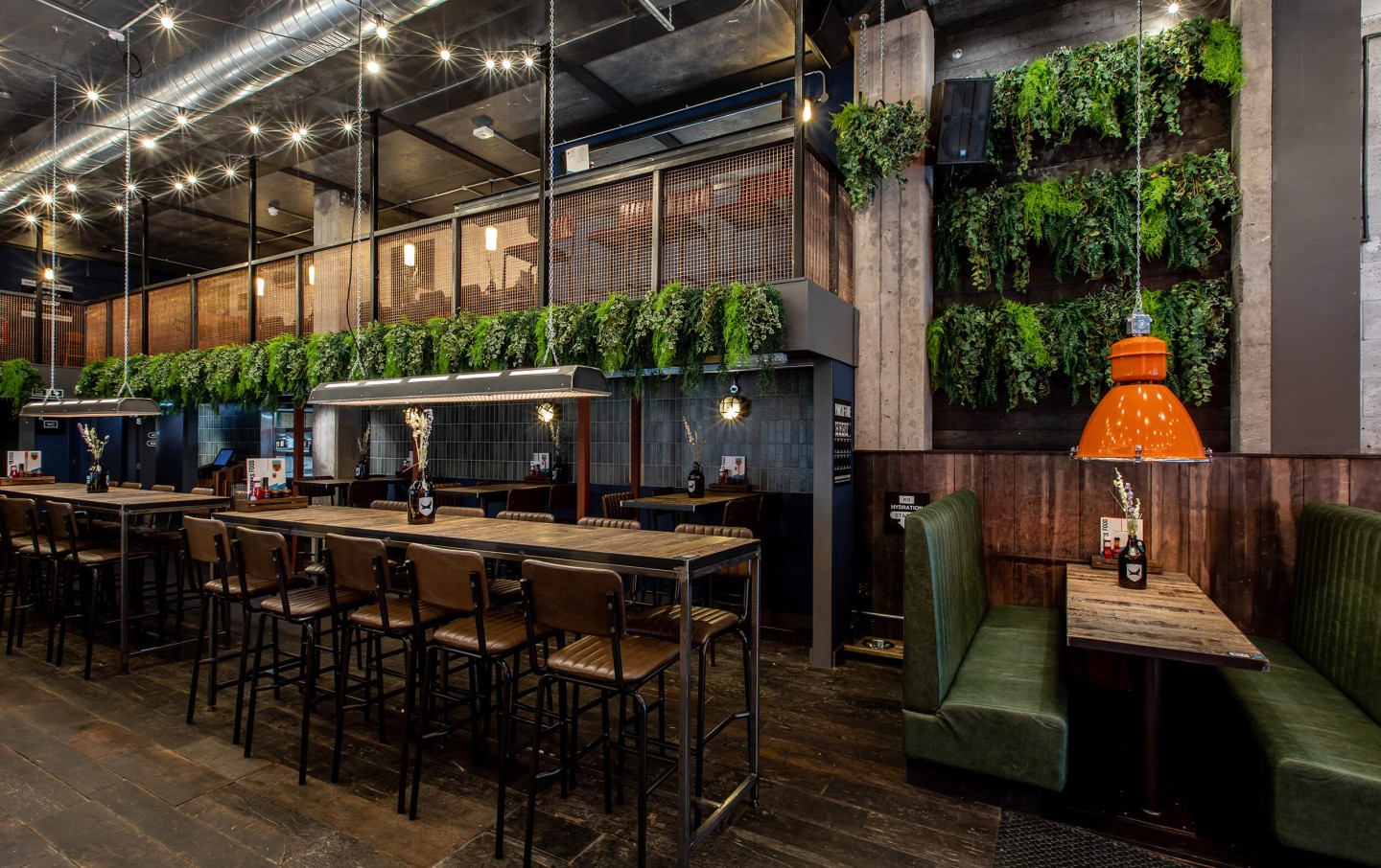hanging plants in restaurant