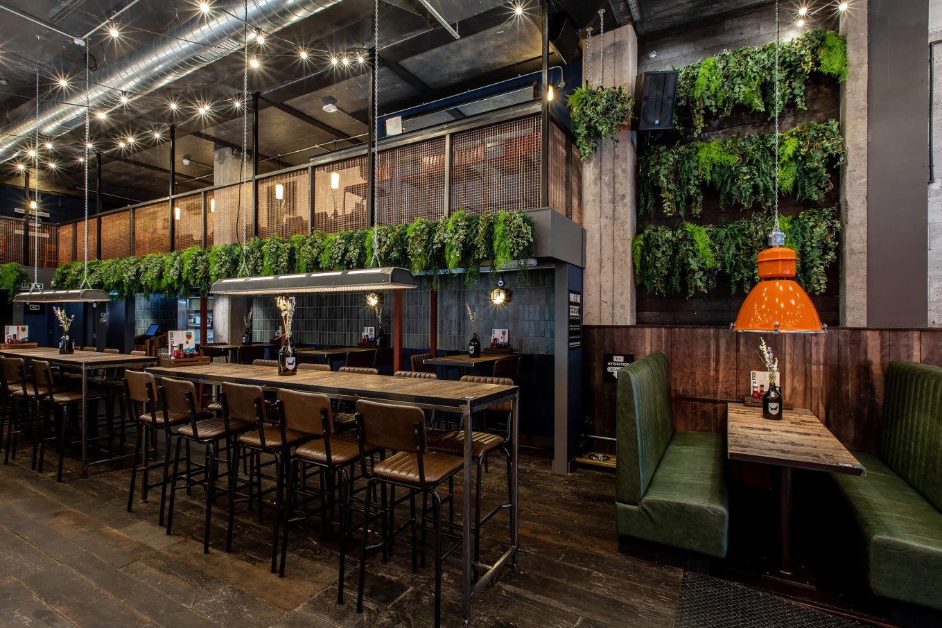 hanging plants in restaurant