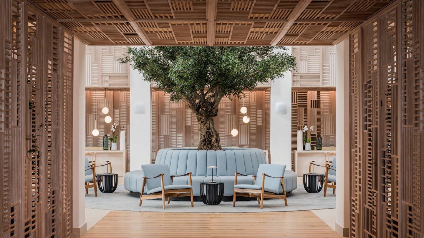 Olive tree with integrated seating