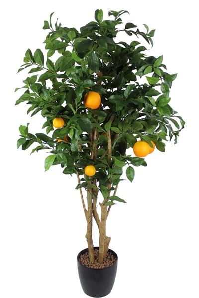 Image of Orange Tree - 150cm