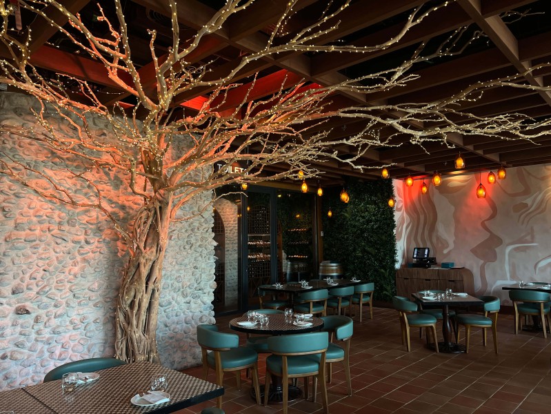 manzanita tree and artificial green wall