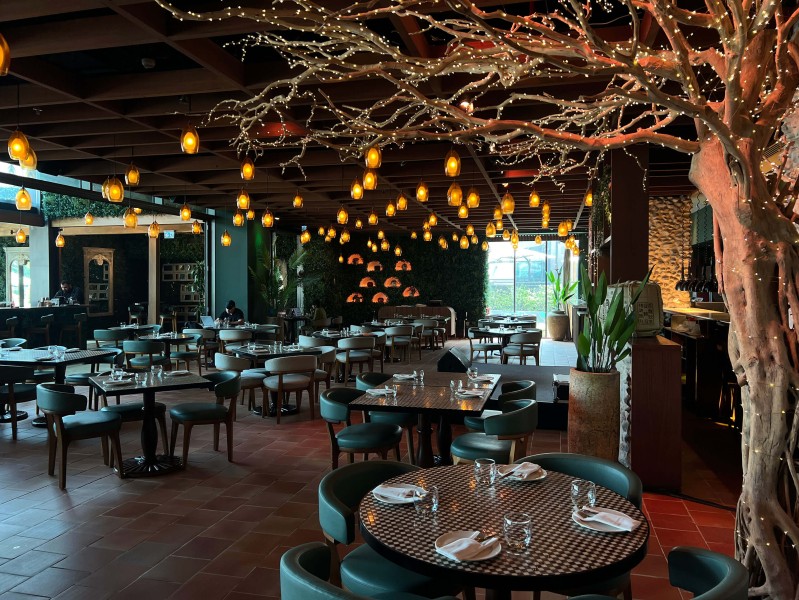 manzanita tree and artificial green wall