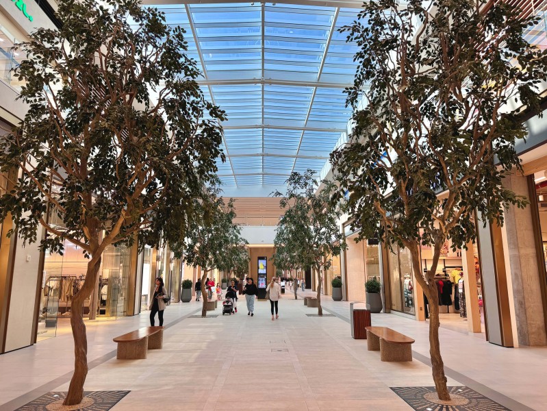 Ficus trees in Dubai Hills Mall