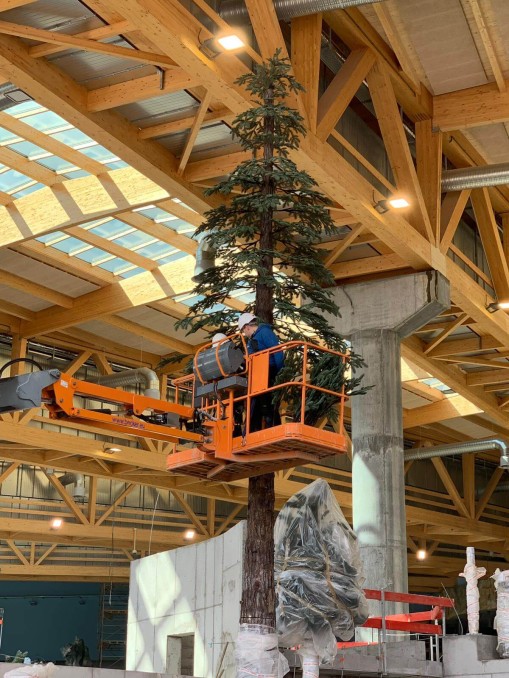 artificial pine trees under construction