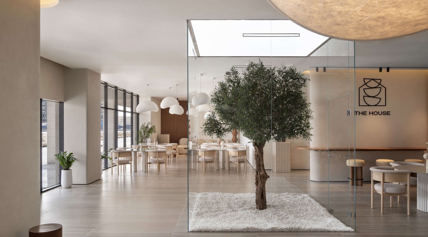 olive tree encased in glass box