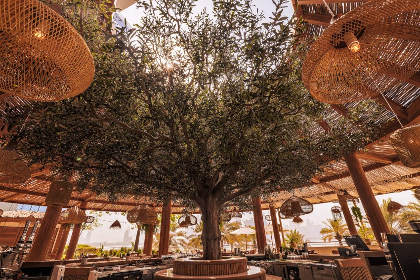 outdoor artificial olive tree