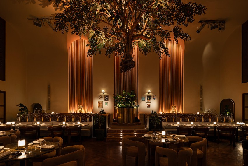 tree hanging from the ceiling in restaurant