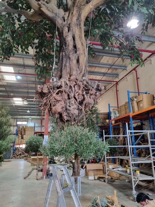 Hanging the tree in our facility in Dubai