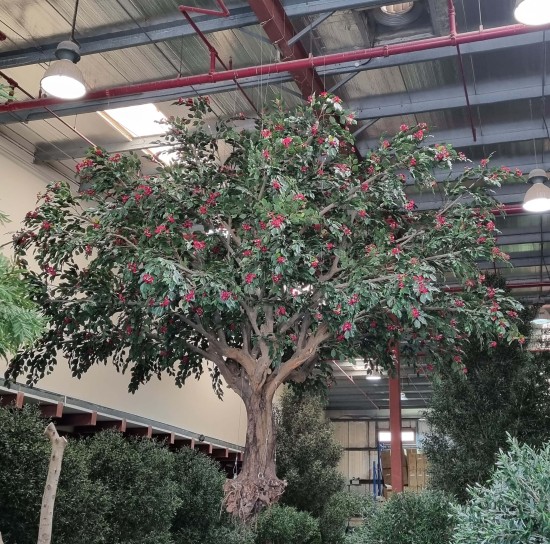 Hanging the tree in our facility in Dubai